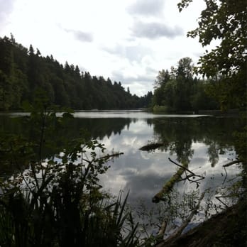 Lake Fenwick Park - Calm and still - Parks Near Me - Kent, Washington