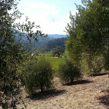 Inglenook - Wineries Near Me - Rutherford, California
