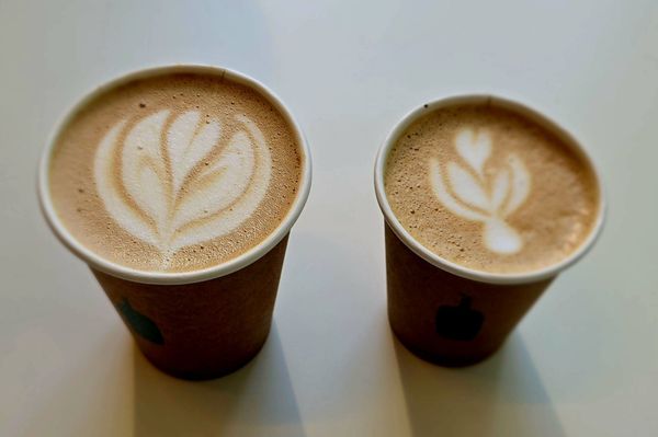 Blue Bottle Coffee by null