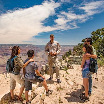 Pink® Jeep Tours Las Vegas by null
