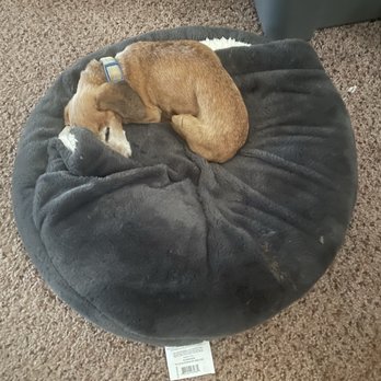 VEG ER for Pets - Hank - Emergency Pet Hospital Near Me - Austin, Texas