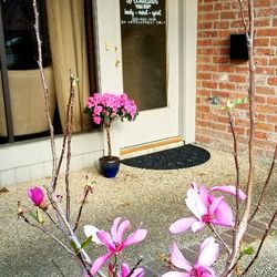 Acadian Massage Therapy