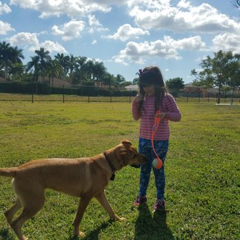 Bark Park - fun! - Dog Parks Near Me - Miami, Florida