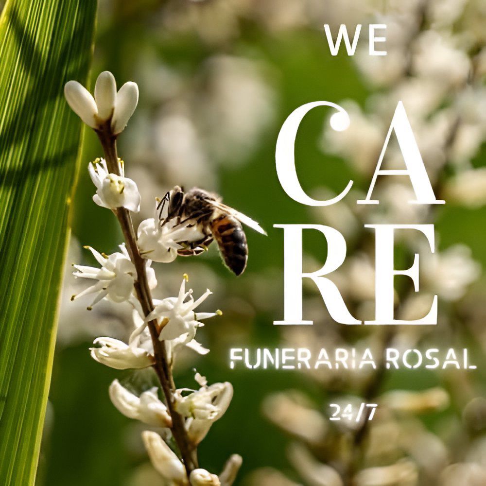 TOP 10 BEST Funeral Services in Solano, Nueva Vizcaya, Philippines -  Updated 2025 - Yelp