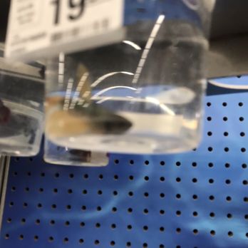PetSmart - Dead beta - Pet Training Near Me - Rio Rancho, New Mexico
