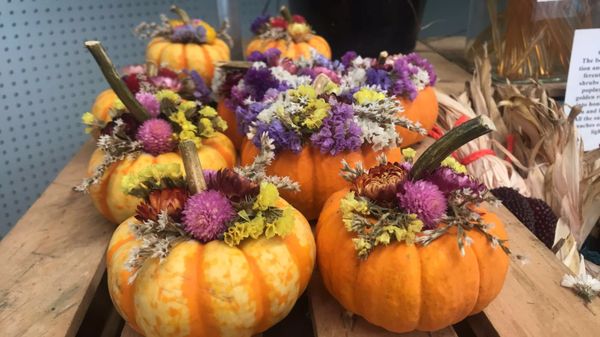 Van Houten Farms by null