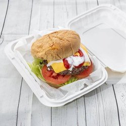 Hillside Express Halal Food - Cheese Burger
