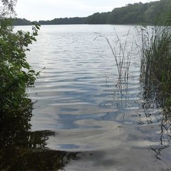 Tauchowsee
