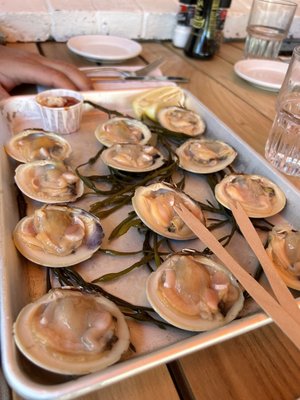 Mac's Fish House Provincetown by null