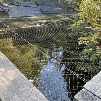 Noons Creek Hatchery - ... outdoor holding/feeding 'pond' for young coho. - Educational Services Near Me - Port Moody, British Columbia