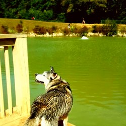 Tommy Schumpert Park - Nice.dog park