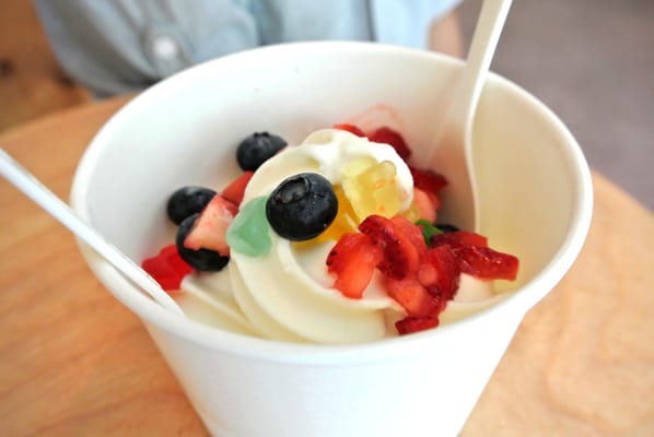 Easy Breezy Frozen Yogurt Noe Valley by null