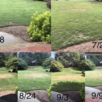 All Turf - These photos show the progress of my lawn. I started noticing the issue around 7/8, contacted All Turf on 7/20. - Lawn Services Near Me - Loganville, Georgia