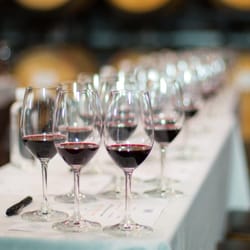 Napa Valley Wine Academy
