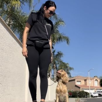 Balanced Pups - Pet Training Near Me Balanced Pups - Pet Training Near Me