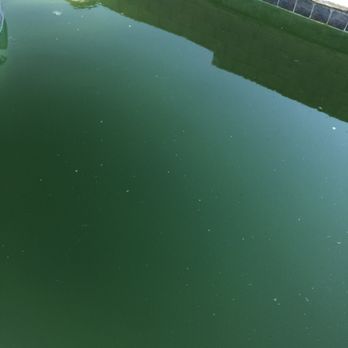 RC Pool Services - Couldn't even see the bottom - Pool Cleaners Near Me
