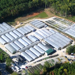 Mobley Plant Farm - Photo from up above the Mobley Plant Farm.
