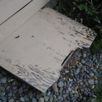 Freeman Pest Control - Crawlspace lid that needed to be replaced, because it was a place of entry for rats and mice. - Pest Control Near Me Freeman Pest Control - Crawlspace lid that needed to be replaced, because it was a place of entry for rats and mice. - Pest Control Near Me