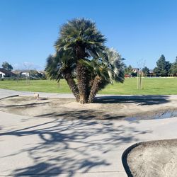 New walkways and better flow