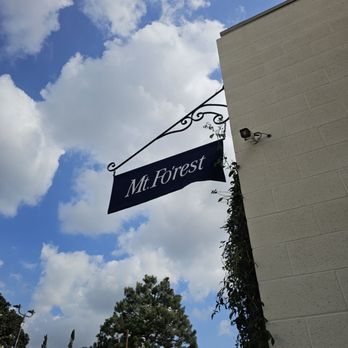 Mt. Fo’rest - Cards & Stationery Near Me - Pasadena, California
