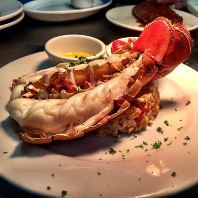 Big Fish Grill Rehoboth by null