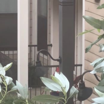 Ion Baton Rouge - University Housing Near Me - Baton Rouge, Louisiana