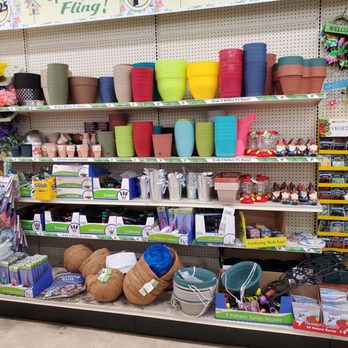 Dollar Tree - Discount Store Near Me - Lombard, Illinois Dollar Tree - Discount Store Near Me - Lombard, Illinois