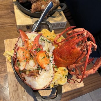 Yardbird Table & Bar - Lobster Mac & Cheese - New American Near Me - Chicago, Illinois Yardbird Table & Bar - Lobster Mac & Cheese - New American Near Me - Chicago, Illinois