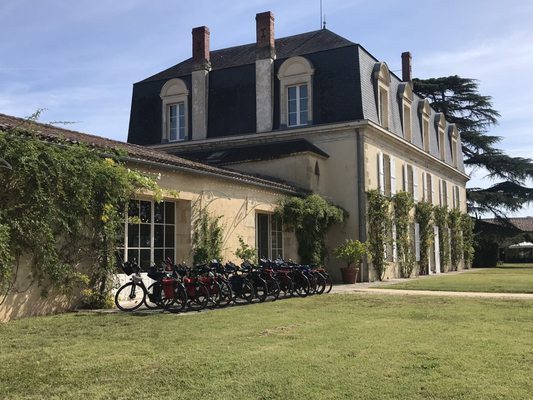 Château Guiraud by null