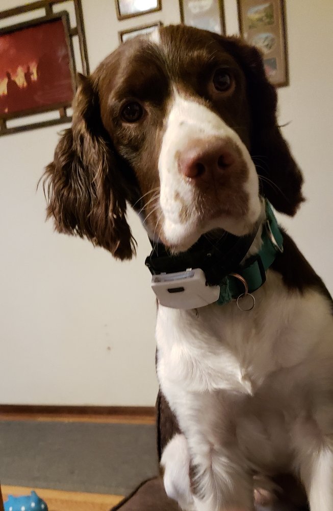 UWASH PETS & GROOMING Updated June 2024 11 Reviews 3405 N Highway 97, Bend, Oregon Pet