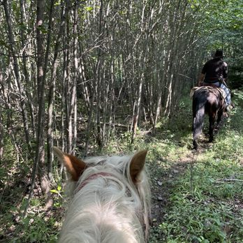 Silver Bow Outfitters - Amazing ride - Horseback Riding Near Me - Libby, Montana