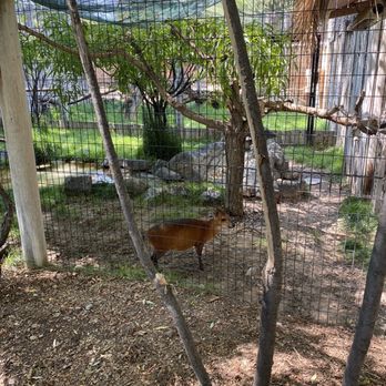 Idaho Falls Zoo - Zoos Near Me - Idaho Falls, Idaho Idaho Falls Zoo - Zoos Near Me - Idaho Falls, Idaho