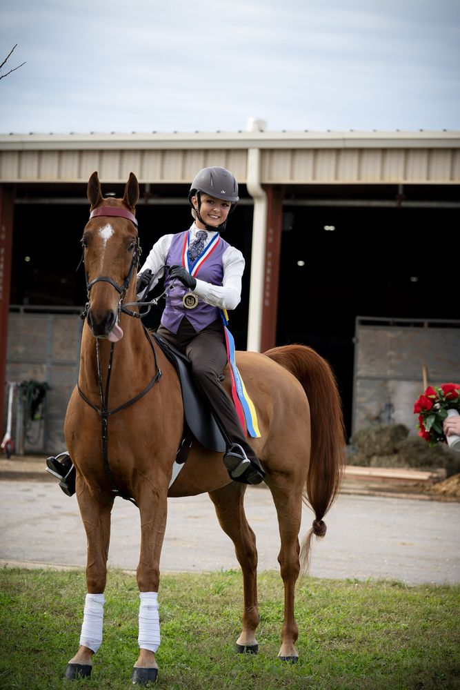 Select Riding Academy - equestrian in Sheridan, IN