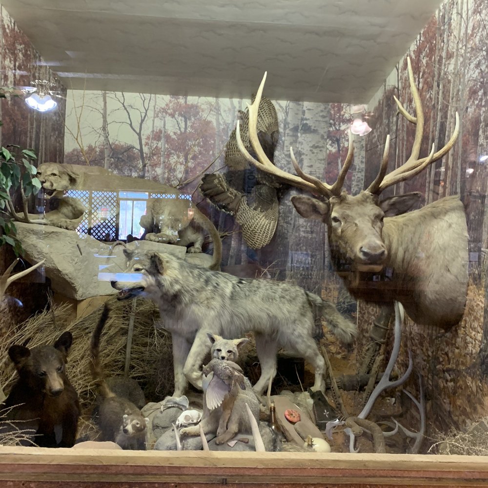 The Roadkill Cafe - American Near Me - Seligman, Arizona The Roadkill Cafe - American Near Me - Seligman, Arizona