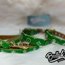Bullykamp Products - Luxury Collar + Leash sets