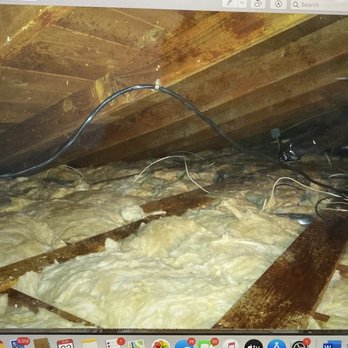 Pure Eco - Attic after - Insulation Installation Near Me - Encino, California Pure Eco - Attic after - Insulation Installation Near Me - Encino, California