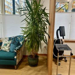 Waiting area near treatment room 1