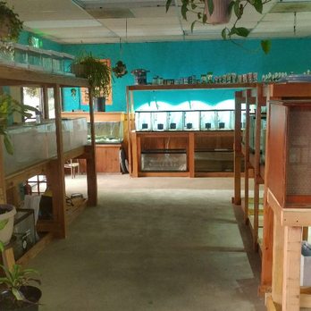 Infinite Aquarium - Aquarium Services Near Me - Santa Clara, California Infinite Aquarium - Aquarium Services Near Me - Santa Clara, California
