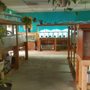 Photo of Infinite Aquarium