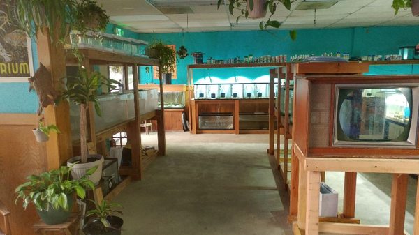 Infinite Aquarium 3194 De La Cruz Blvd Ste 13 Santa Clara Ca Aquariums Aquarium Supls Mapquest We are a trusted resource not only for discerning saltwater. infinite aquarium 3194 de la cruz blvd