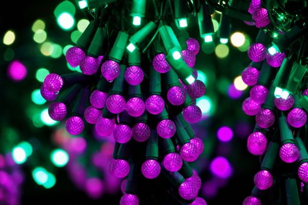 Garden d’Lights by null