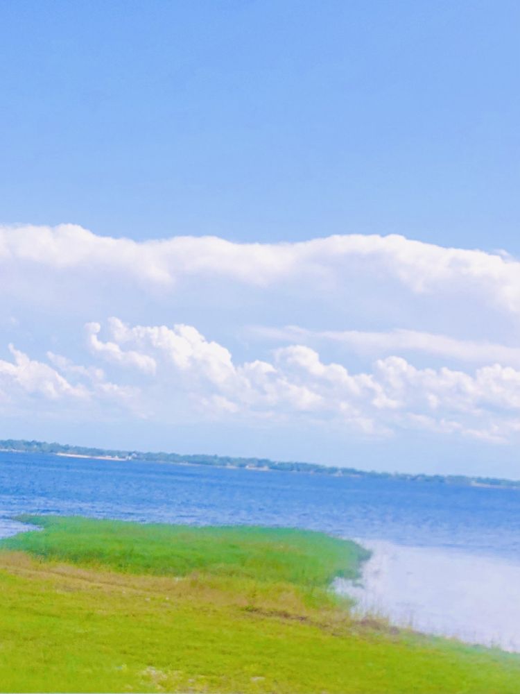 Lake Minneola Scenic Trail Image