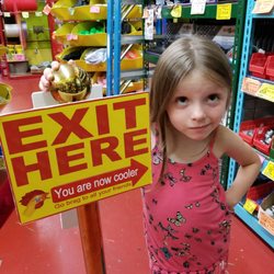 Rubber Chicken Museum - Go to the museum like the cool kids.