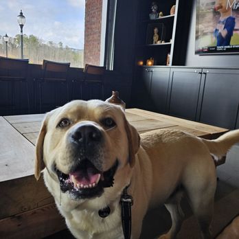 CROOKED CULTURE BREWING - Updated September 2024 - 29 Photos & 17