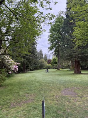 Stanley Park Pitch & Putt by null