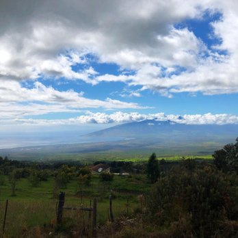 Ali'i Kula Lavender - Tours Near Me - Kula, Hawaii Ali'i Kula Lavender - Tours Near Me - Kula, Hawaii