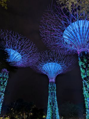 Gardens by the Bay by null