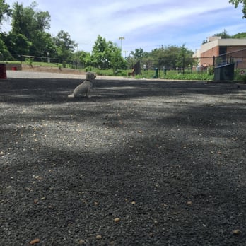 Langdon Dog Park - Dog Parks Near Me - Washington, DC, District of Columbia