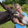 Dawn's Animal Connection gift card
