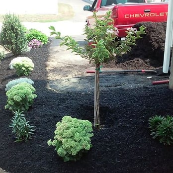 Matos Lawn Care - Landscape Architects or Designers Near Me